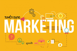 Tuyển nhân viên Marketing